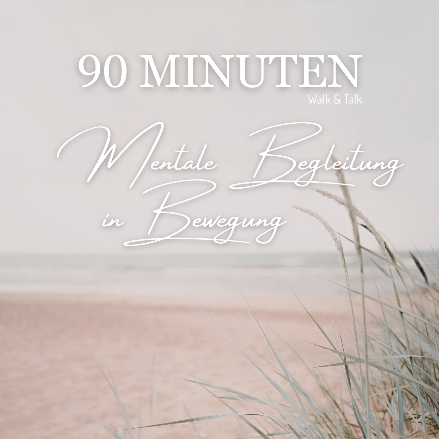 WALK & TALK – 90 MIN Mentale Begleitung in Bewegung